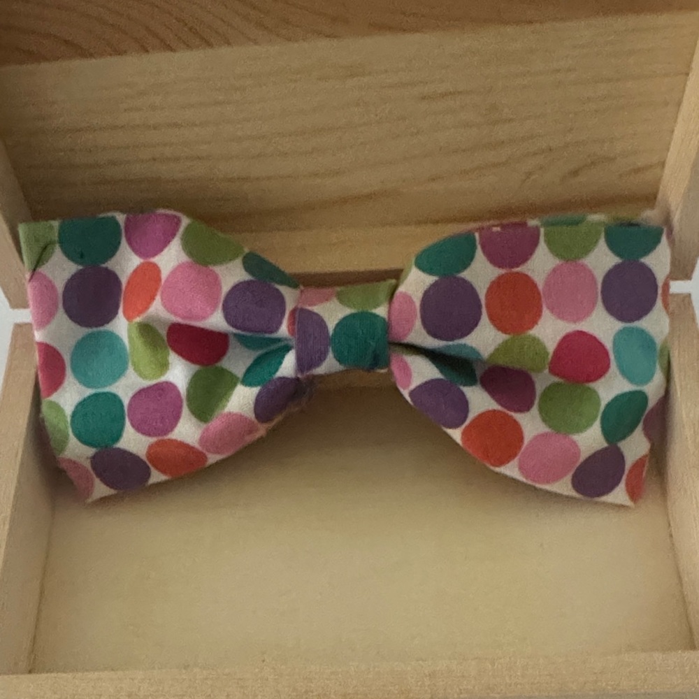 Colorful Polka Dot Bow Tie for Kids